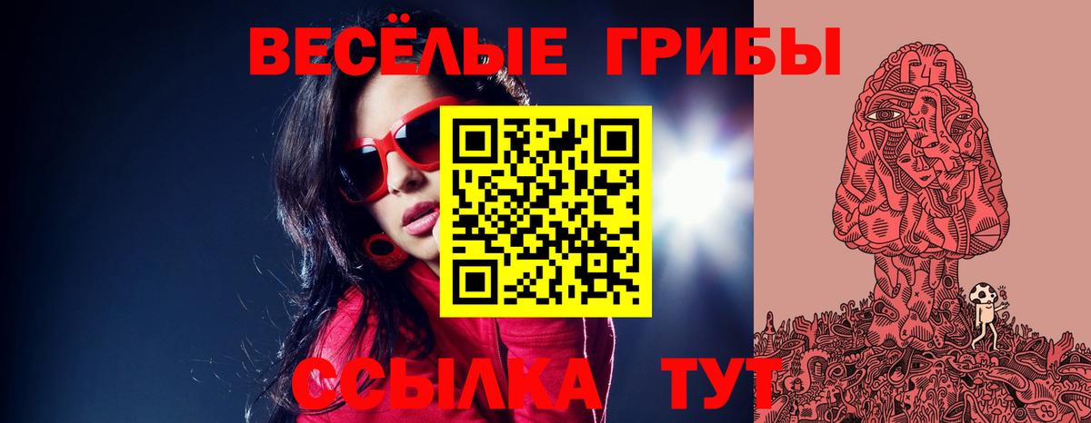 Галлюциногенные грибы Cubensis  Псилоцибиновые грибы Cubensis  Кинель  Вход с VPN 